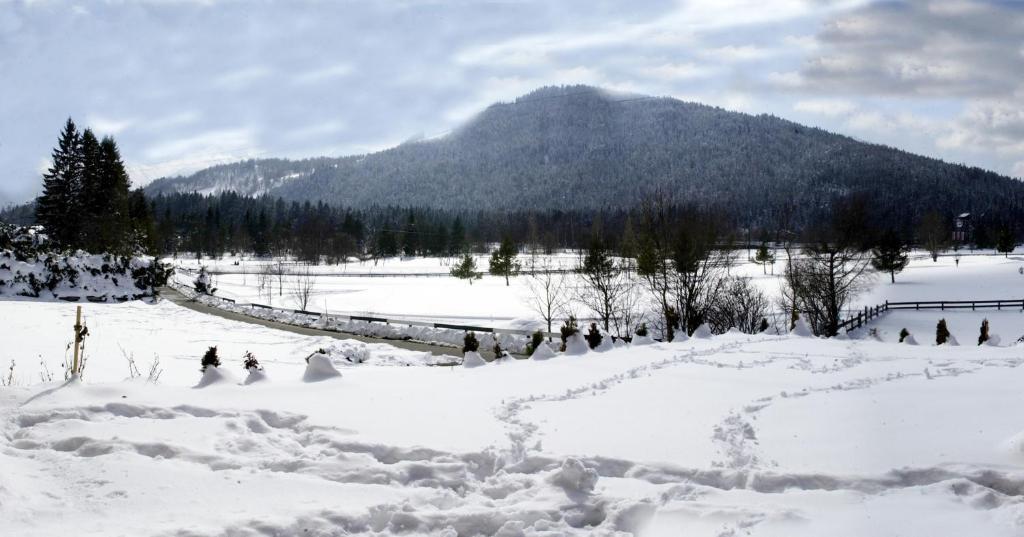 Landhaus am Golfplatz Seefeld in Tirol Exterior foto